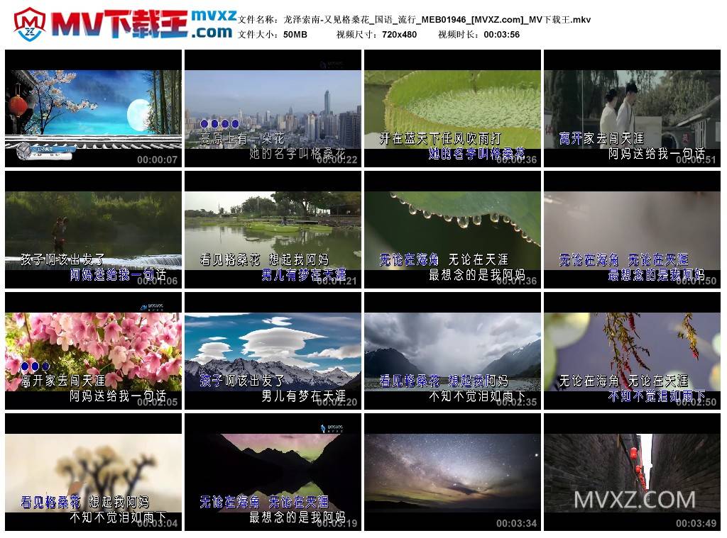 龙泽索南-又见格桑花_国语_流行_MEB01946